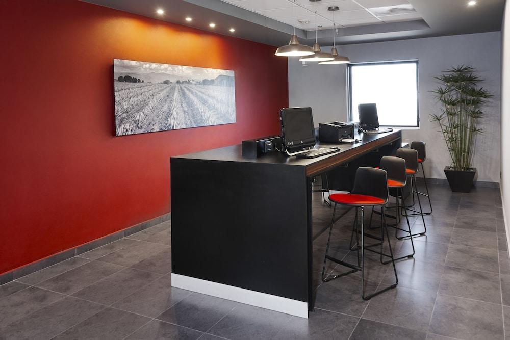 City Express Plus By Marriott Guadalajara Expo Zapopan Exteriör bild